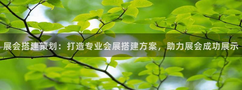 果博手机下载网址：展会搭建策划：打造专业会展搭建方案，助力展会成功展示